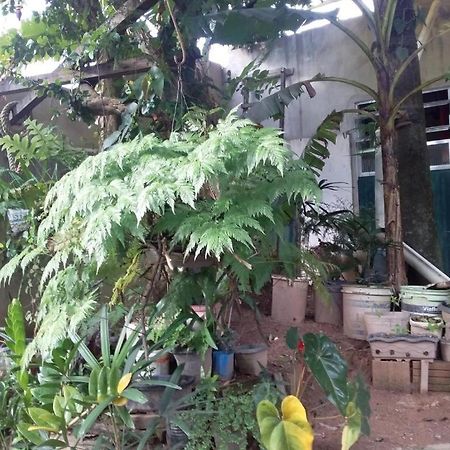 Auberge de jeunesse El Caleuche à Rio das Ostras Extérieur photo